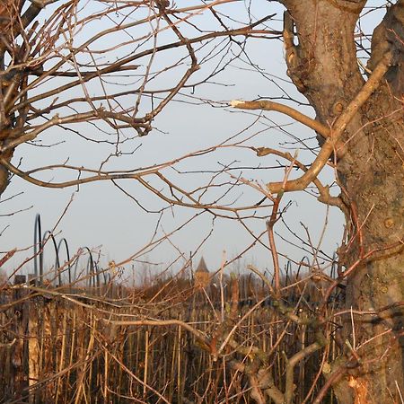 De Betuwe Asch Bagian luar foto