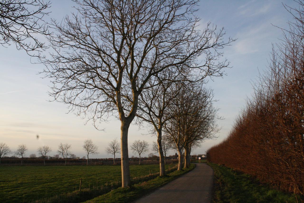 De Betuwe Asch Bagian luar foto