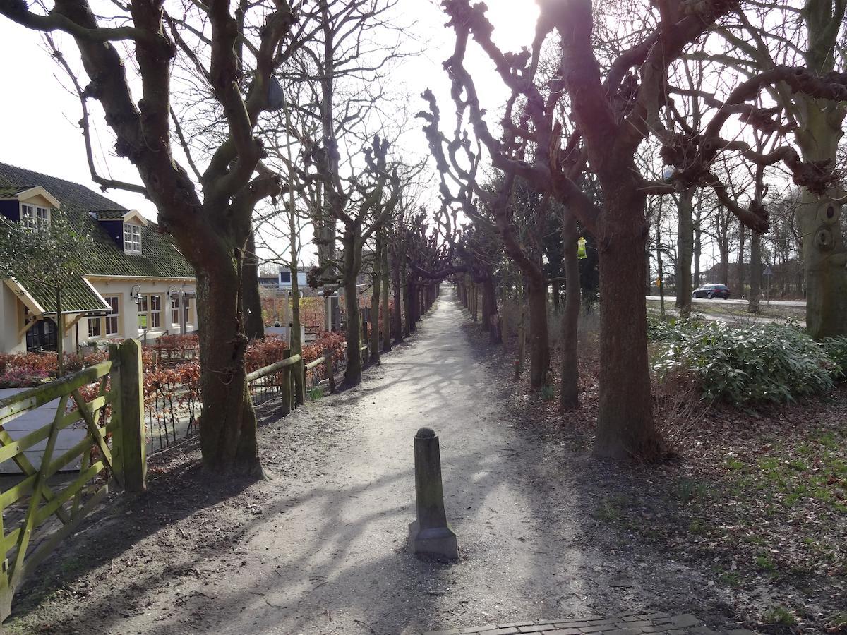 De Betuwe Asch Bagian luar foto
