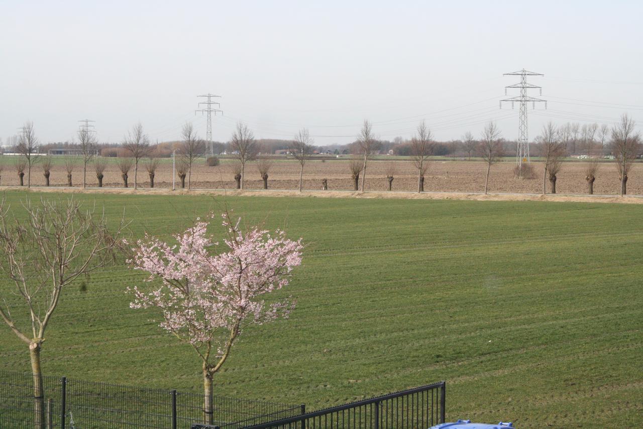 De Betuwe Asch Ruang foto