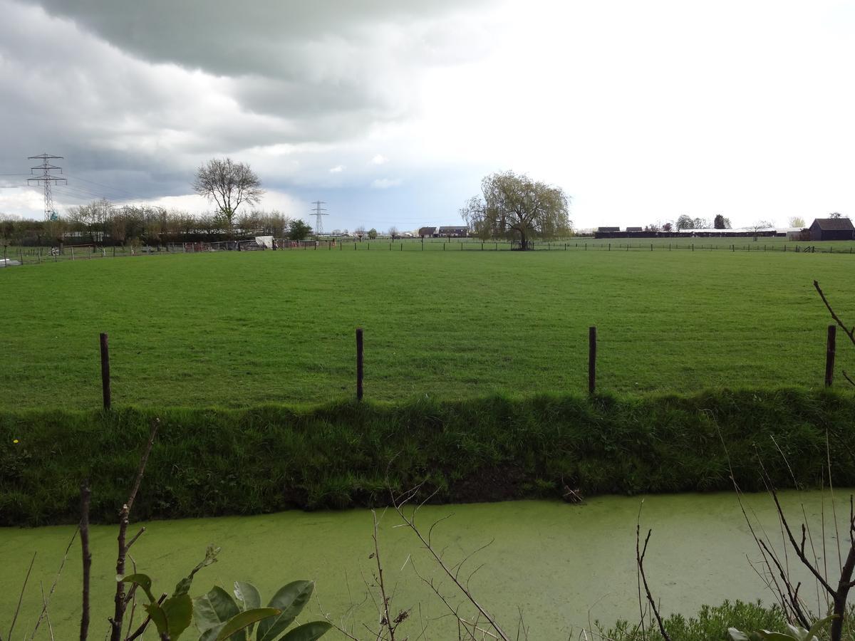 De Betuwe Asch Bagian luar foto